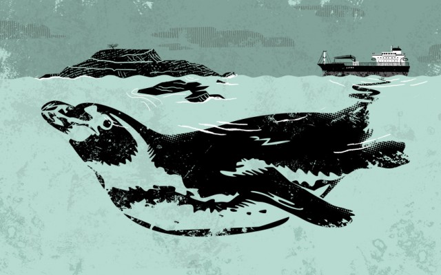 Pinguinos_CREDITO_Mathias Sielfeld