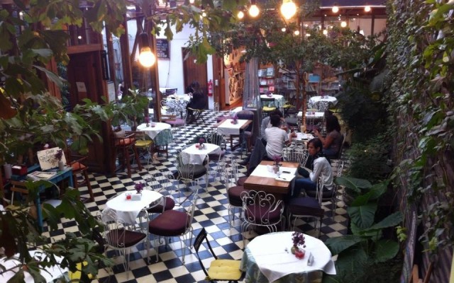 Lectura en Santiago
Lugares comunes
La capital ofrece variados puntos para leer cómodamente. Sea por el café, la ambientación o la comodidad de acceso, las cafeterías y bibliotecas, hacen de la lectura un panorama. Escogimos cuatro lugares para llevar tus libros y salir de paseo por la ciudad.
